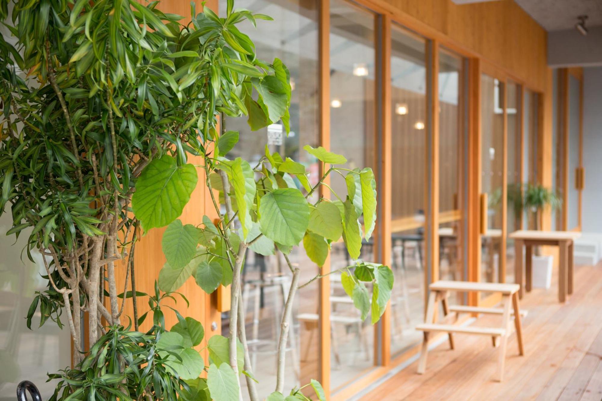 Hotel Tsuchiya Kinosaki Onsen Toyooka  Exteriér fotografie